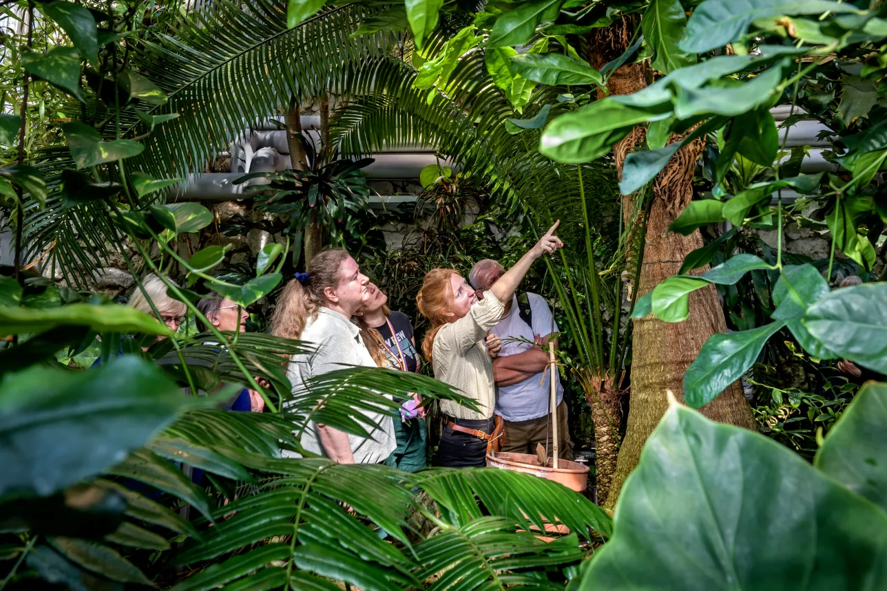 People looking at plants inside a greenhouse. Photo.