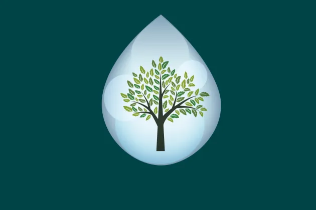 Illustration med träd och vattendroppe.