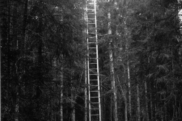 Svartvitt fotografi som avbildar en hög stege bland träd i skogen 