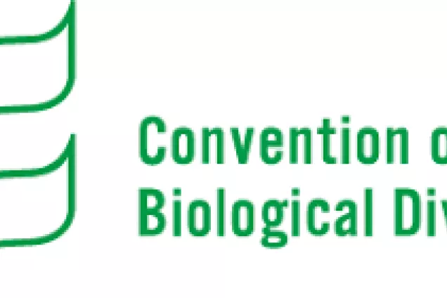 Logotype of CBD.