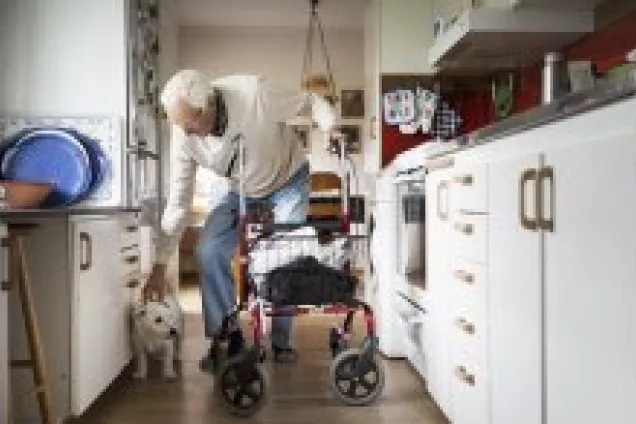 Older man in a kitchen. Photo.
