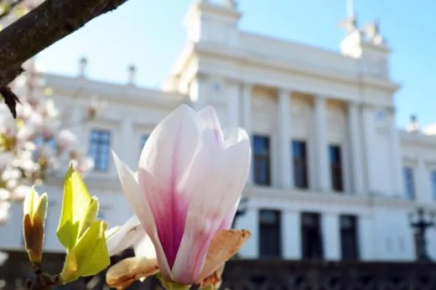University main building and flowers in bloom. Photo.