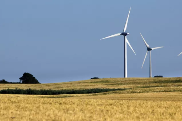 Windmills at a field. Photo.
