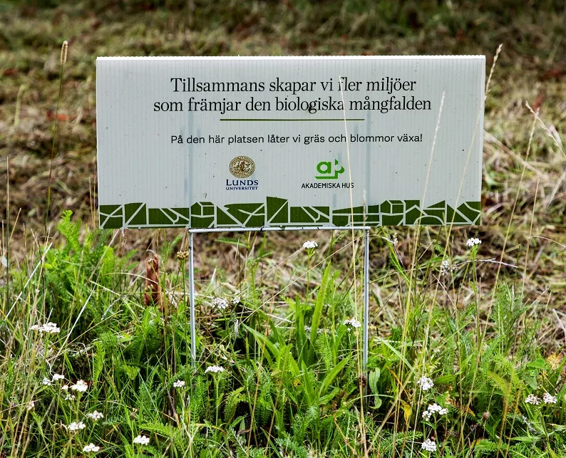 A sign on the grass that explain the initiatives to promote biodiversity at Lund University. Photo.