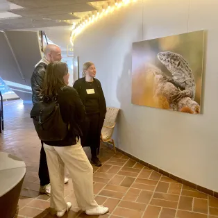 Three persons looking at a photograph hanging on the wall in Stadshallen. Photo.